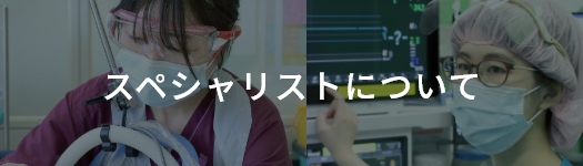 スペシャリストのページへ