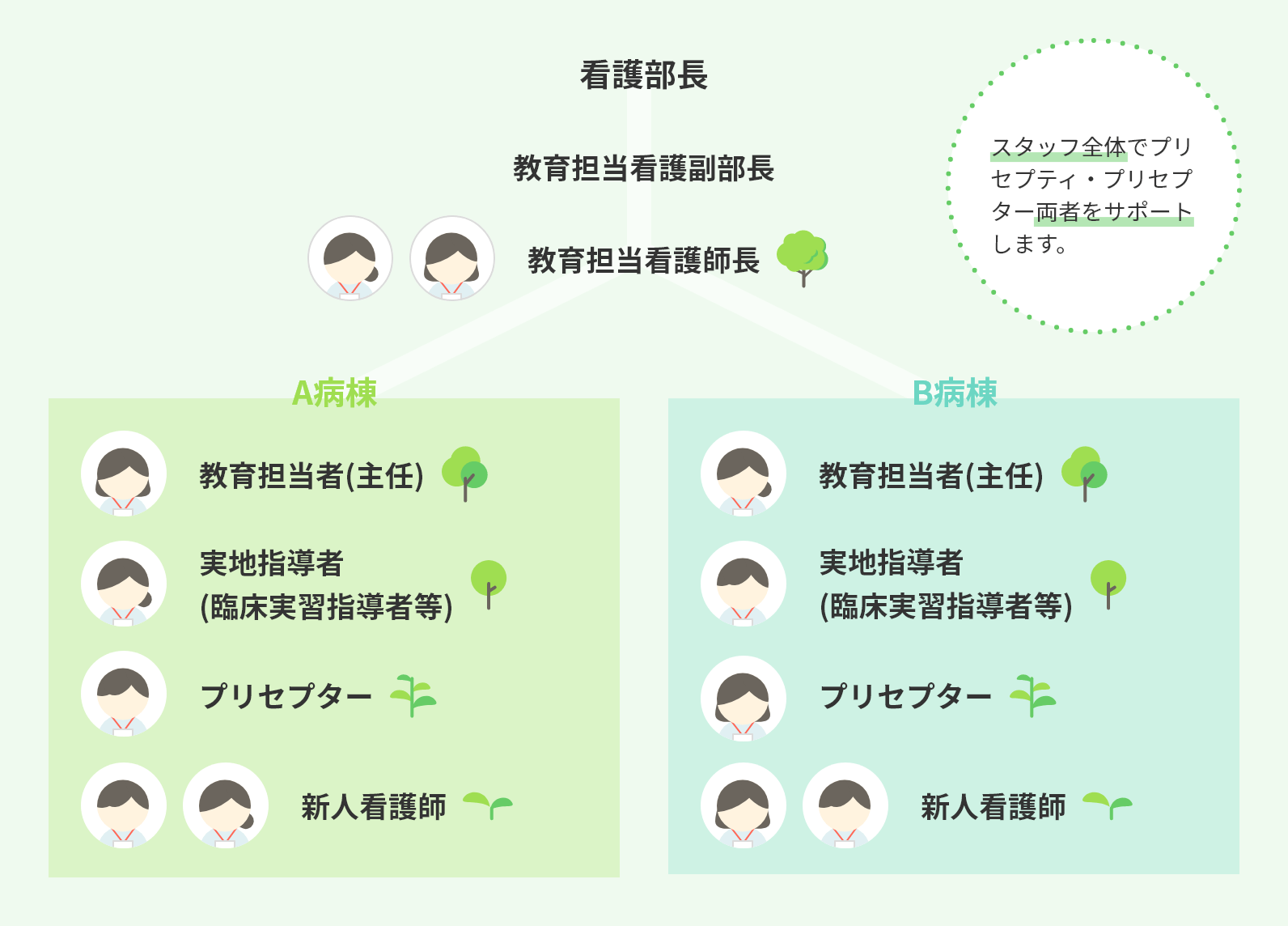 教育体制　スタッフ全体でプリセプティ、プリセプター両者をサポート